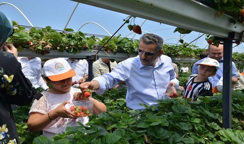 Samsun Çiftçisine 2019’da 303 Milyon Tl Destek 2002-2019Yılları Arasında 2,1 Milyar Tl Tarımsal Destek Verildi