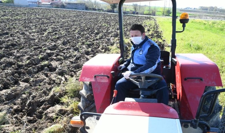 Büyükşehir Zabıtası Yaşlı Çiftin Tarlasını Sürdü - Samsun Büyükşehir Belediyesi zabıta ekipleri, yaşlı çiftin tarlasını sürdü.