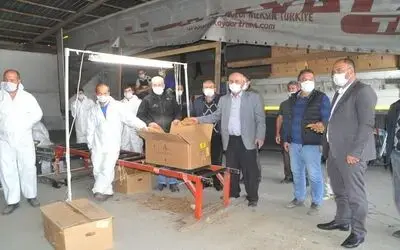 Bafra'da Tütün Alımları Başladı