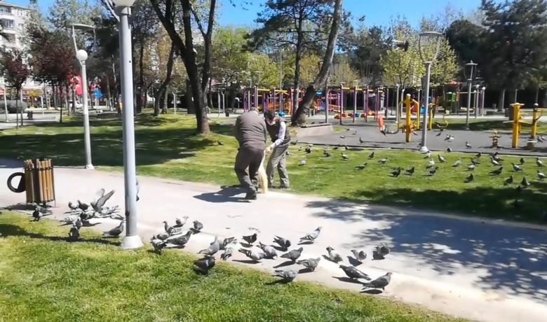 Sokağa Çıkma Kısıtlamasında SokakHayvanları Ve Kuşlar Unutulmadı - Samsun Bafra Doğa Koruma Şefliği ve hayvanseverler sokak hayvanları ve kuşlara yem bıraktı.