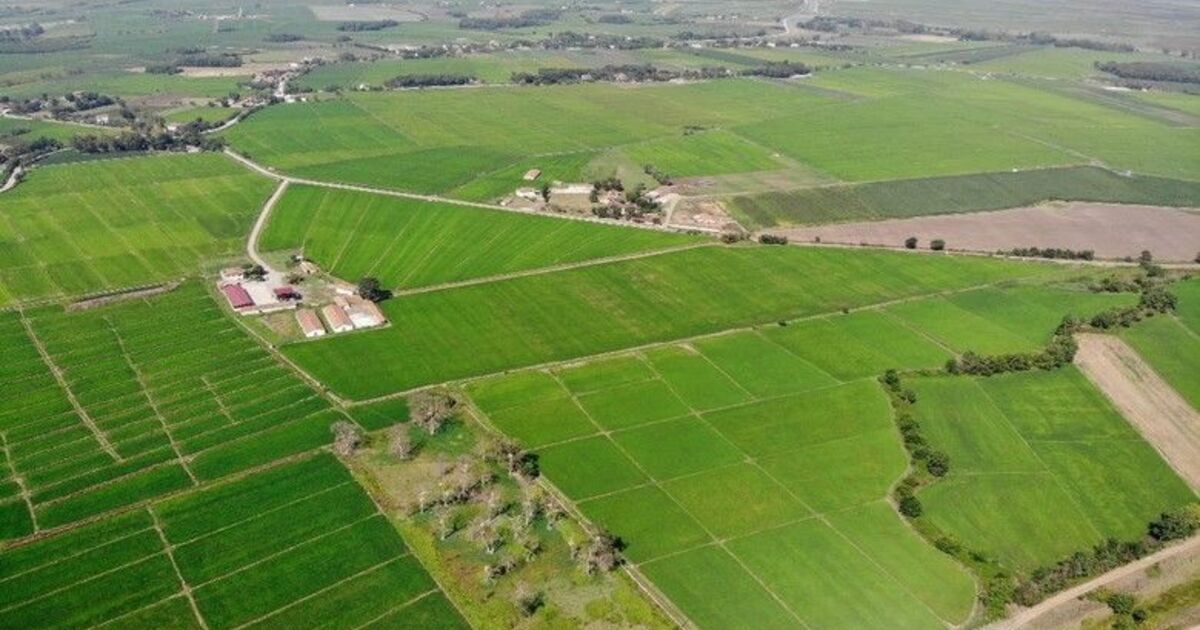 Samsun’da 2020’de 430 bin 170 dekar tarım arazisi daha suya kavuşacak
