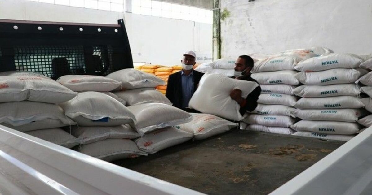 Yüzde 75 hibeli çeltik tohumu dağıtımı
