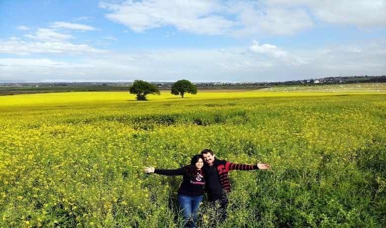 19 Mayıs'ta Kanolabahçesinden kartpostallık görüntüler - Samsun’da kartpostallık görüntüler oluşturan kanola bahçeleri, çiftlerin fotoğraf çektirme adresi haline geldi.