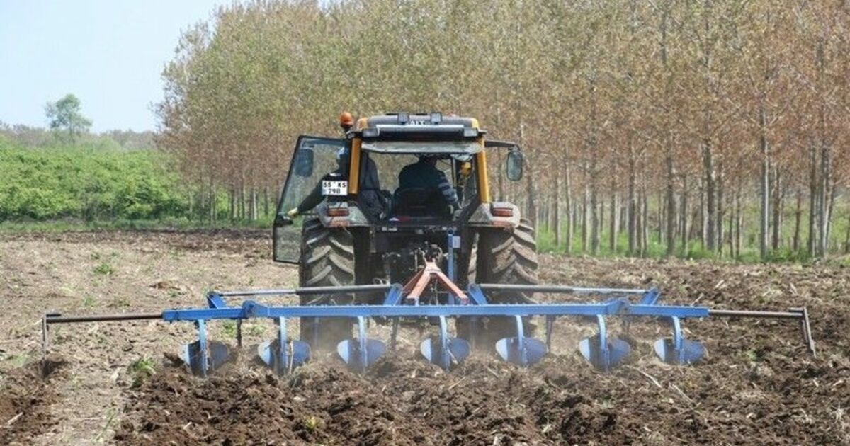 Çukurova’da tanıştı, Samsun’a getirdi
