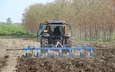 Çukurova’da tanıştı, Samsun’a getirdi
