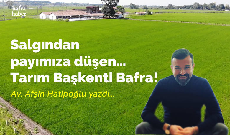 Salgından payımıza düşen… Tarım Başkenti Bafra!