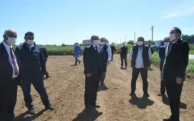 Bafra Ovası’nda damlama sulama çeltik ekimi