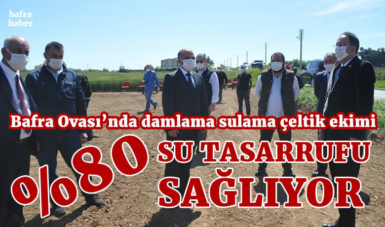 Bafra Ovası’nda damlama sulama çeltik ekimi