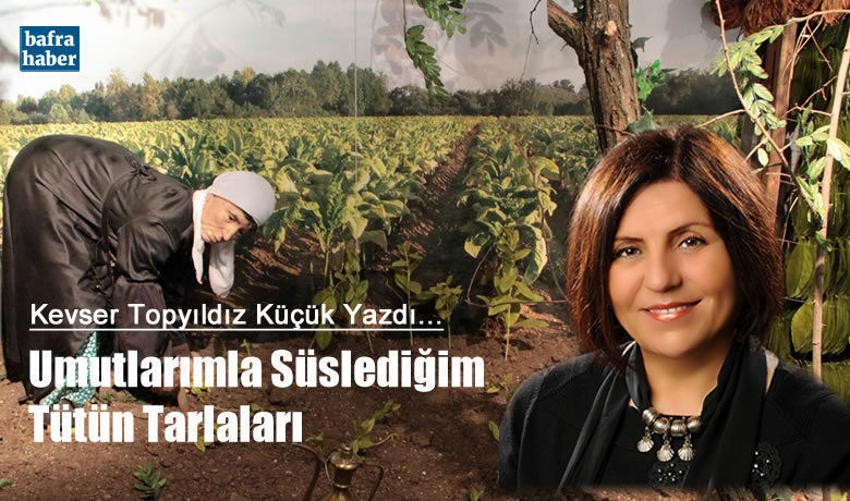 Umutlarımla Süslediğim Tütün Tarlaları