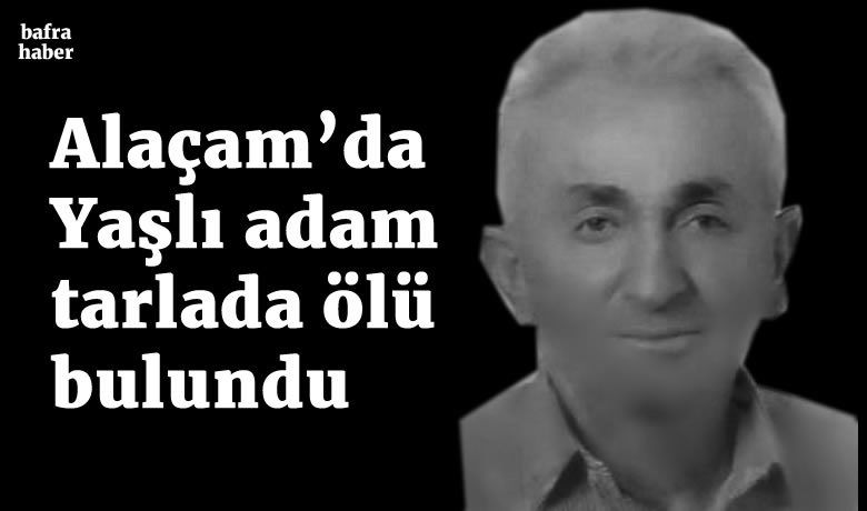 Yaşlı adam tarlada ölü bulundu - Samsun’da bir kişi tarlada ölmüş halde bulundu.