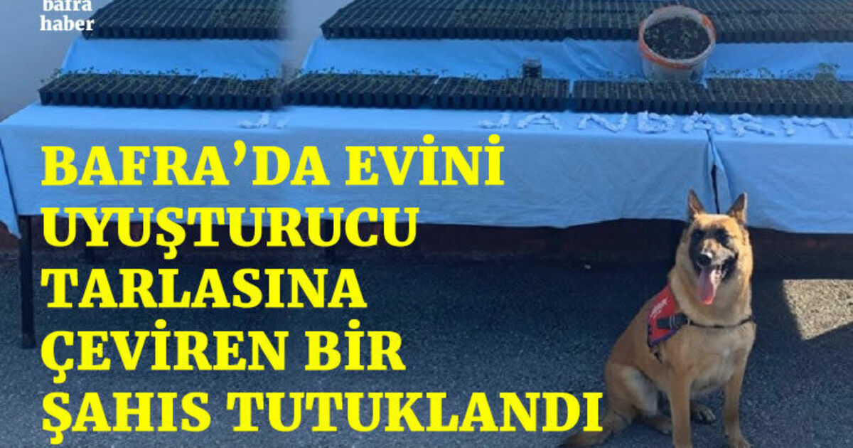 Evi uyuşturucu tarlasına çevirdi