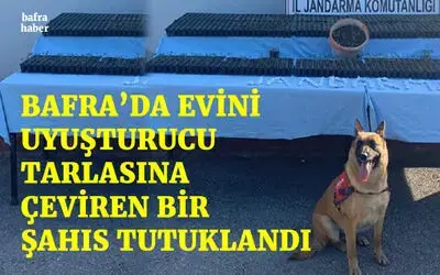 Evi uyuşturucu tarlasına çevirdi