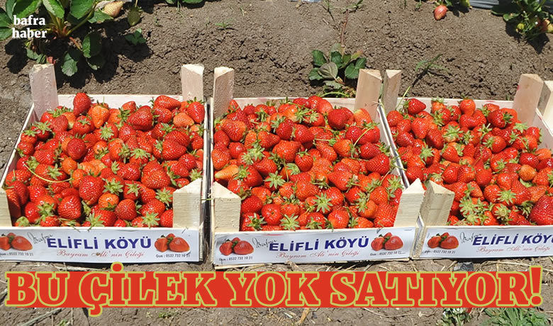 Bu çilek yok satıyor