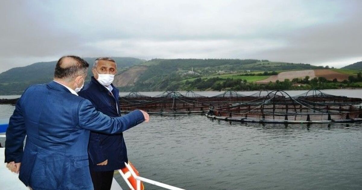 Samsun’da balık çiftliklerinde yılda 16 bin tondan fazla balık üretiliyor