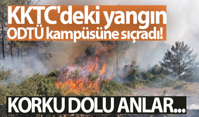 KKTC'de çıkan yangın kontrol altına alınamadı - Kuzey Kıbrıs Türk Cumhuriyeti'nde (KKTC) öğle saatlerinde çıkan yangın kontrol altına alınamadı. Polis, halktan yangına müdahale etmesi için çağrıda bulundu.BUGÜN NELER OLDU?