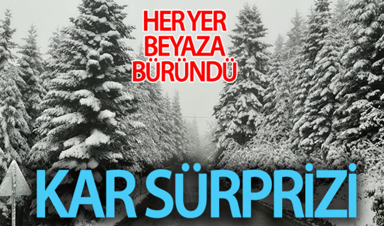 23 Mayıs'ta yağan karşaşırttı: Her yer beyaza büründü - Ordu`nun yüksek kesimlerine 23 Mayıs`ta yağan kar şaşkınlık yaşattı. Yağan karla birlikte kartpostallık manzaralar oluştu.Mustafa Bıyık / İHA