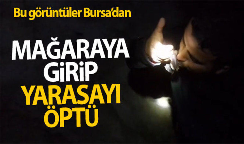 Herkes korkuyor o öpüyor - Bursalı maceracı yarasalarla dolu mağaraya girip eline aldığı yarasayı öptü.BUGÜN NELER OLDU?