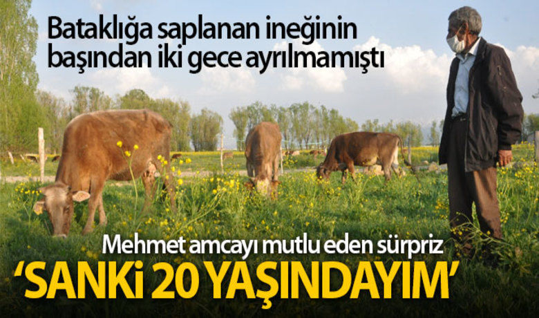 Mehmet amcaya 2 inek ve 2 buzağı hediye edildi - Hakkari’nin Yüksekova ilçesinde bataklığa saplanan ineğinin başından iki gecedir ayrılmayan Mehmet Emin Atasoy, Türkiye’nin gündemine otururken, Quick Sigorta tarafından 2 inek ve 2 buzağı hediye edildi.BUGÜN NELER OLDU?