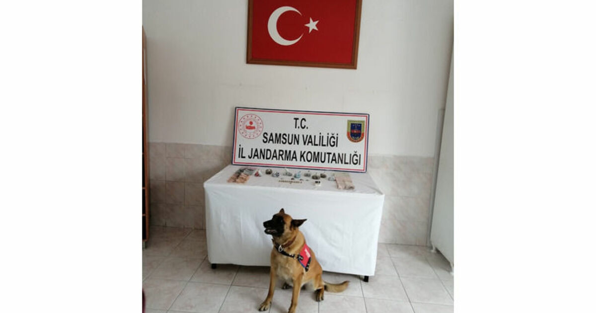 Uyuşturucuları ‘Ozon’ yakaladı