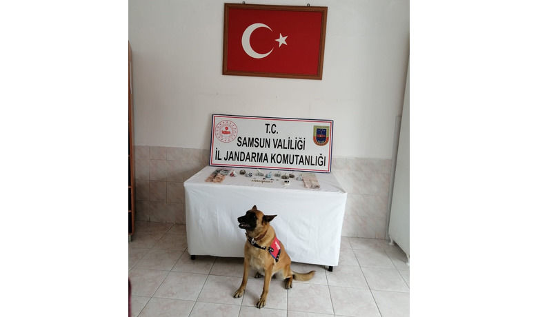 Bafra'da 150 gram Bonzai ele geçirildi
