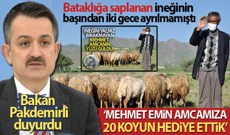 Bakan Pakdemirli: 'Mehmet Emin amcamıza 20 koyun hediye ettik' | Ulusal