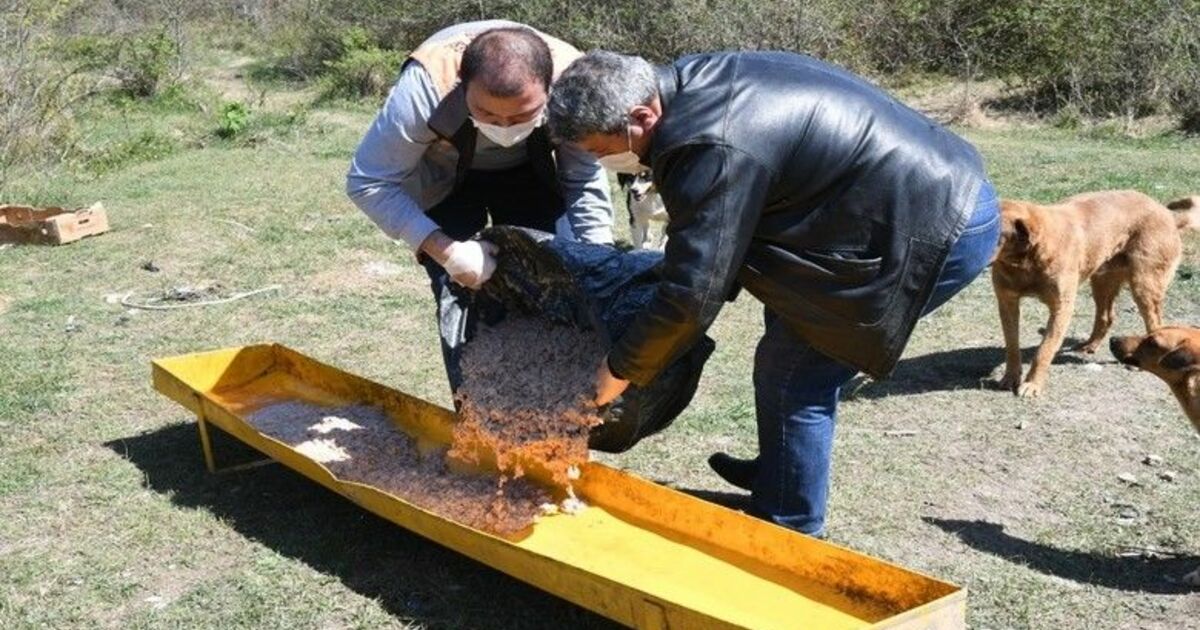 Sokak hayvanlarına 47 ton mama dağıtıldı
