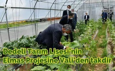 Dedeli Tarım Lisesi’nin Elmas Projesine Vali’den Takdir