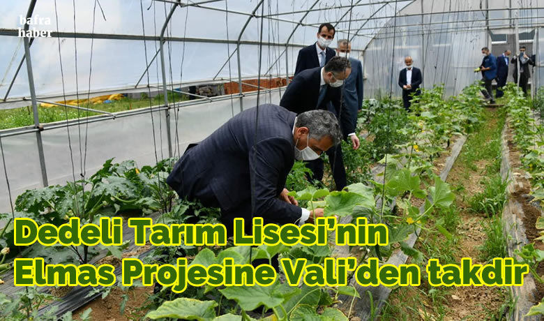 Dedeli Tarım Lisesi’ninElmas Projesine Vali’den Takdir - Bafra’ya bir dizi ziyerette bulunan Samsun Valisi Osman Kaymak, 2009 yılında açılan, 26 bin metrekarelik alana sahip, sebze ve meyve üretimi yapan Bafra Dedeli Mesleki ve Teknik Anadolu Lisesi’ni ziyaret etti.