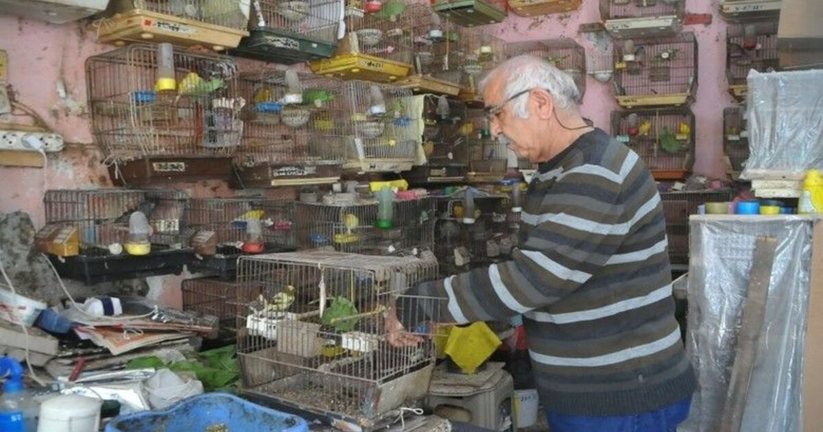 Emekli öğretmenin ’kuş’ tutkusu