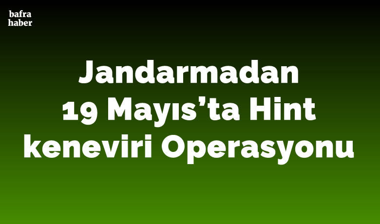 Jandarma 315 kök Hint keneviri ele geçirdi