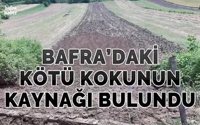 Bafra’daki Kötü Kokunun Kaynağı Ortaya Çıktı!