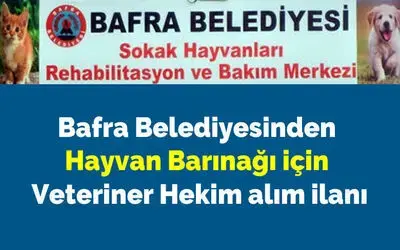 Bafra Belediyesinden Veteriner Hekim Alım İlanı