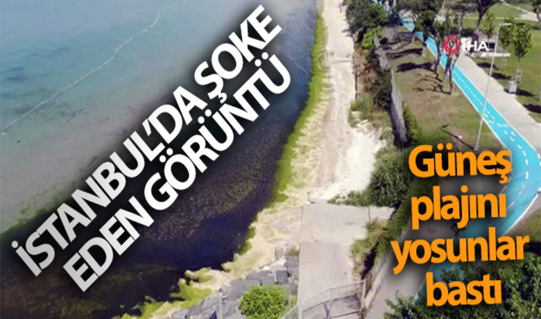 Güneş plajını yosunlar bastı - Florya'da bulunan ve İstanbul Büyükşehir Belediyesi (İBB) sorumluluk alanında olan Güneş Plajının bir kısmını yosunlar kapladı. Keskin bir koku da etrafa yayan yosunların oluşturduğu çirkin görüntü drone ile havadan görüntülendi.BUGÜN NELER OLDU?