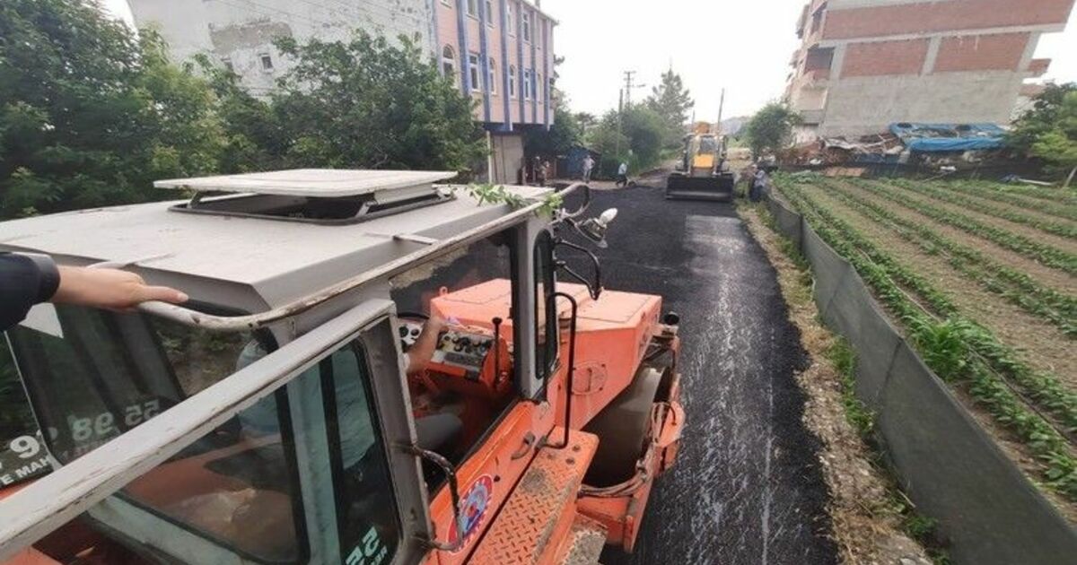 Bafra Belediyesinden asfalt çalışması
