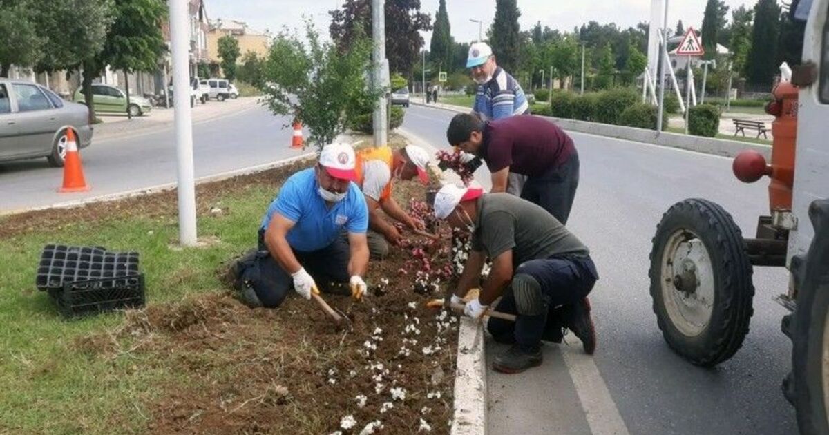 Bafra dört mevsim çiçek bahçesi
