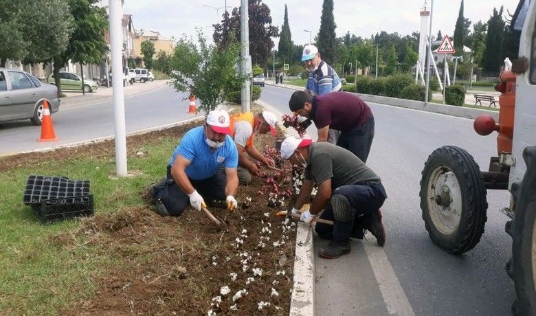 Bafra dört mevsim çiçek bahçesi
 - Bafra Belediyesi, kent merkezinin farklı noktalarında gerçekleştirdiği çiçeklendirme çalışmaları ile cadde ve sokaklara mevsimin renklerini taşıyor.