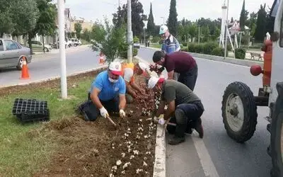 Bafra dört mevsim çiçek bahçesi
