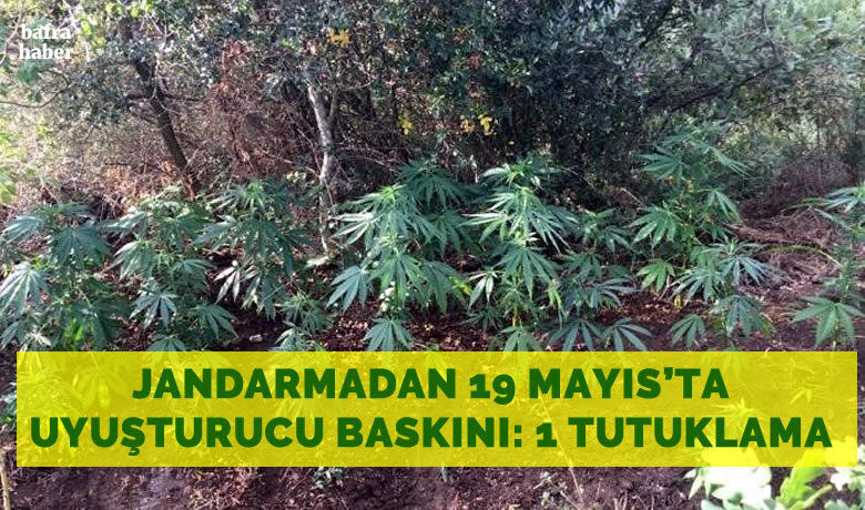 Jandarmanın gözaltına aldığı şahıs tutuklandı
