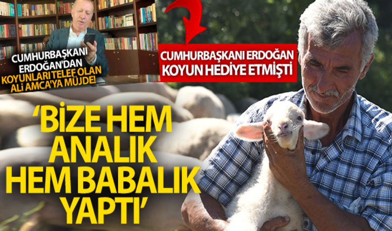 Koyunları telef olanÇelikel çiftinden Cumhurbaşkanına teşekkür - Balıkesir’in Dursunbey ilçesinde yıldırım düşmesi sonucu koyunları telef olan vatandaşı telefonla arayarak geçmiş olsun dileklerini ileten Cumhurbaşkanı Erdoğan aileye 16 adet koyun hediye etti. Yeni koyunlarını otlatan Ali Rıza Çelikel ve eşi Havva Çelikel, Cumhurbaşkanı Erdoğan’a teşekkür ettiler.BUGÜN NELER OLDU?