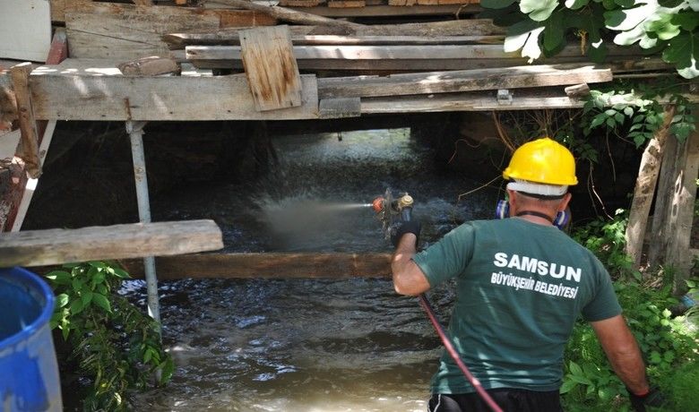Samsun’da günde 2 binmetrekare alanda larva mücadelesi yapılıyor - Samsun Büyükşehir Belediyesi Çevre Koruma ve Kontrol Daire Başkanlığı tarafından yürütülen larva mücadelesi çalışmaları kapsamında günde 2 bin metrekare alan ilaçlanıyor.