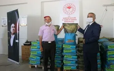 Vezirköprü ve Havza’da 6 ton silajlık mısır tohumluğu dağıtıldı
