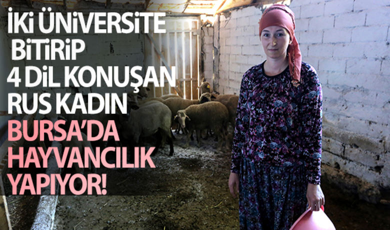 İki üniversite bitirip 4 dilkonuşan Rus kadın Bursa'da hayvancılık yapıyor - Rusya ve Türkiye vatandaşı olup iki üniversite mezunu, 4 dil konuşabilen Rus uyruklu bir kadın, Bursa'nın Yenişehir ilçesinde hayvancılık yapıyor.BUGÜN NELER OLDU?