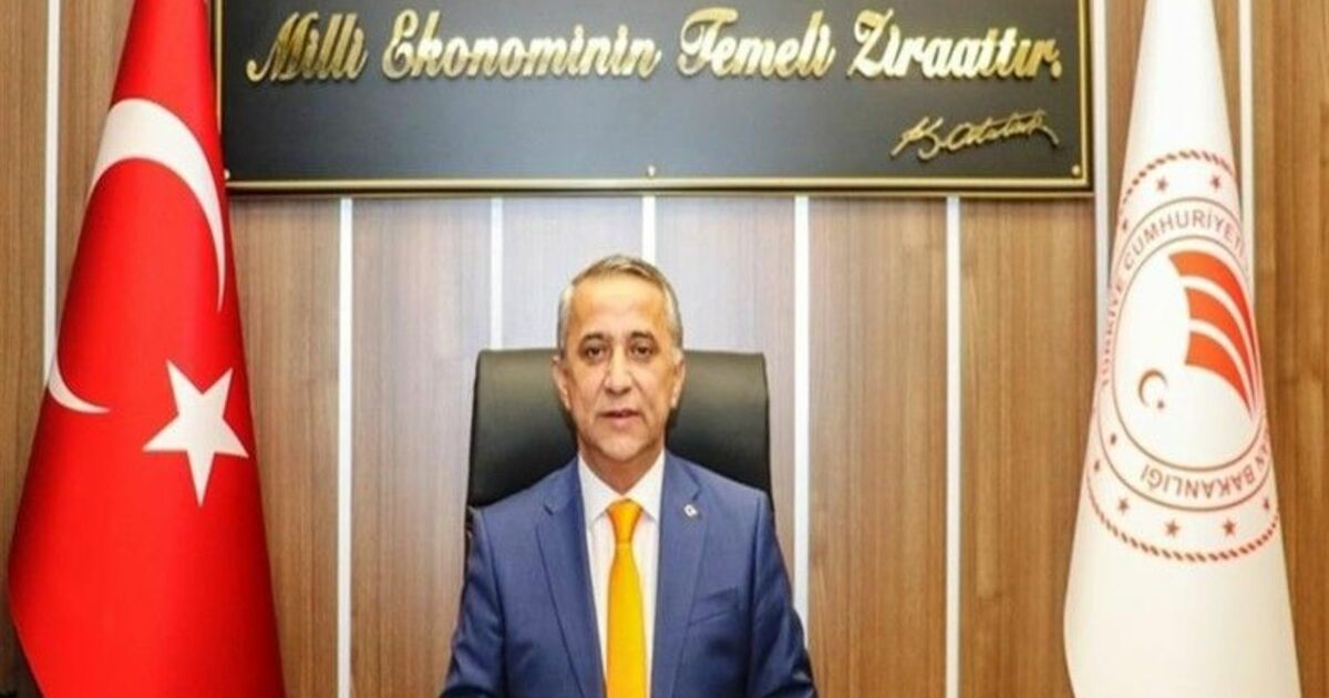 Samsun’da çeltik üretimi artıyor
