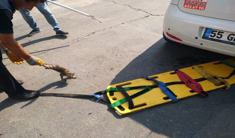 ‘Kedi kurtarma’ operasyonu
 - Samsun’un Çarşamba ilçesinde park halindeki aracın arka tampon kısmına girerek sıkışan yavru kedi, itfaiye ekipleri tarafından kurtarıldı.