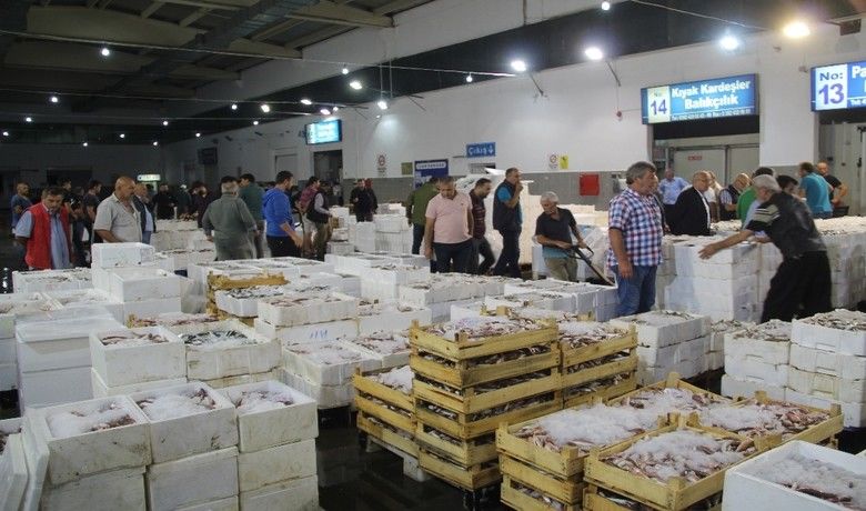 10 bin ton balık işlemgördü, en fazla hamsi tüketildi - Samsun Büyükşehir Belediyesi Balık Halinde bu sezon 10 bin ton balık işlem gördü, 30 tür balıktan en fazla tüketilen ise hamsi oldu.