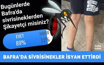 Bafra’da Sivrisinek İle İlgili Şikâyetler Arttı