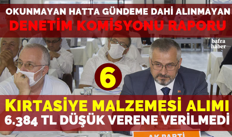 Bafra Belediyesi Meclis DenetimKomisyonu 2019 Yılı Raporu 