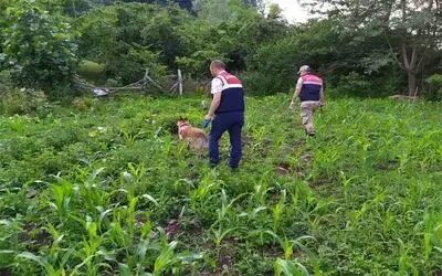 Samsun’da uyuşturucu operasyonları: 10 gözaltı

