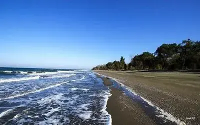 Tabiat parklarına ziyaretler azaldı
