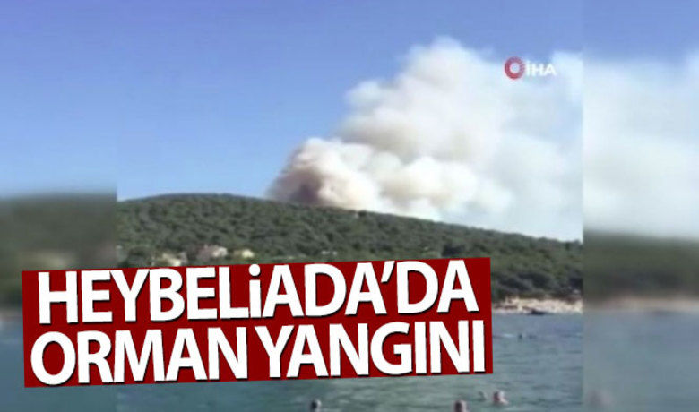 İstanbul Heybeliada'da orman yangını - İstanbul Heybeliada'da orman yangını çıktı. Yangına karadan ve havadan ekipler tarafından müdahale ediliyor.BUGÜN NELER OLDU?